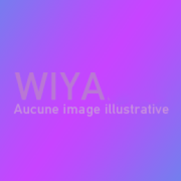 Idriss Mohamed Chanfi